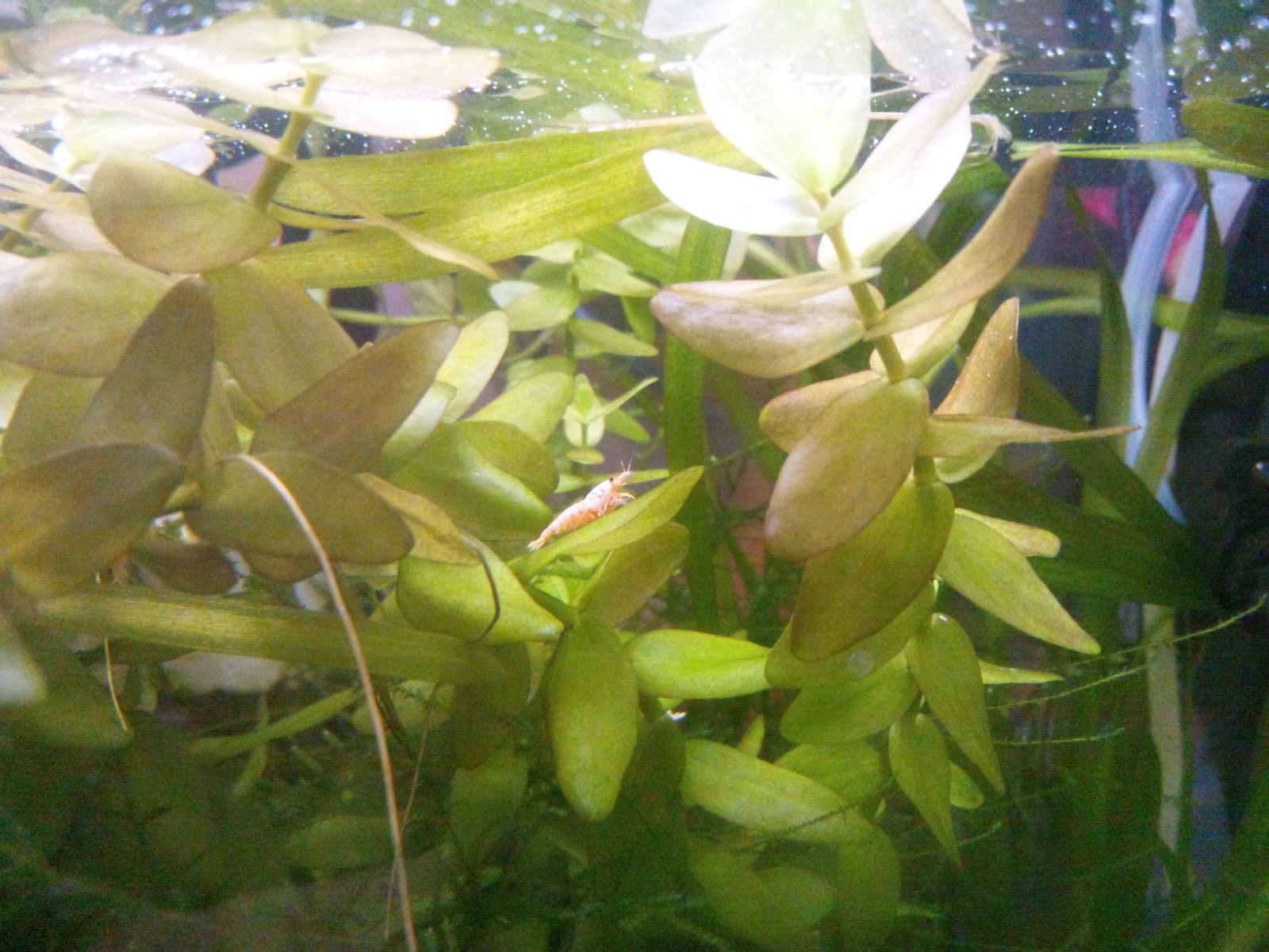 レッスンのあいまに…