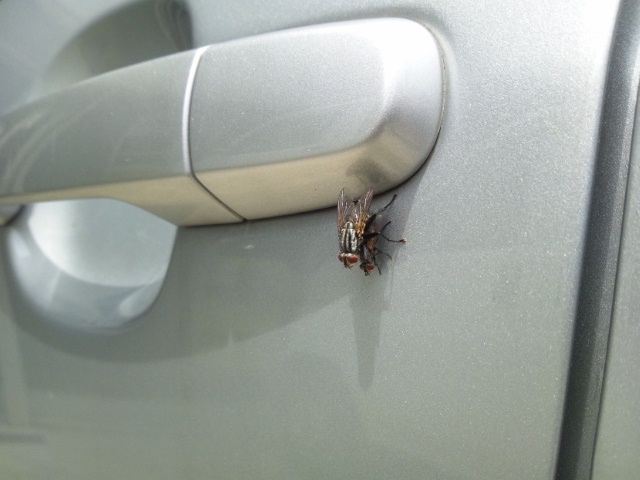 この時代に…(衝撃画像あり)