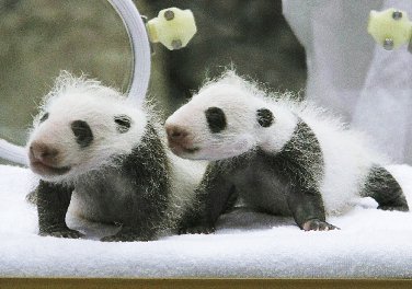 紀南地方の世界規模ニュース