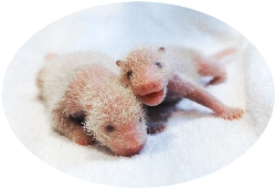 紀南地方の世界規模ニュース