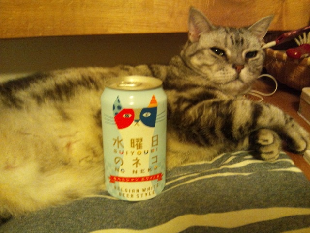 水曜日のネコちゃん…