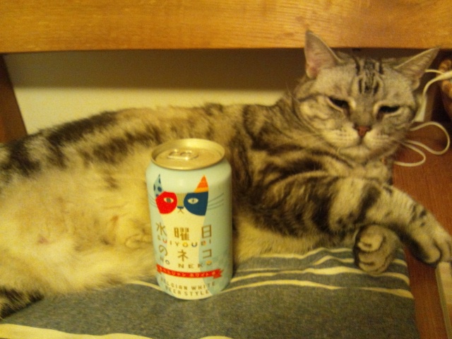 水曜日のネコちゃん…